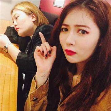 开yun体育官网入口登录苹果